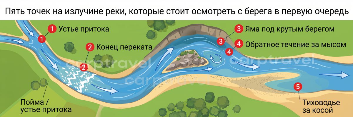 Пять точек на речном повороте, которые стоит проверить с берега в первую очередь