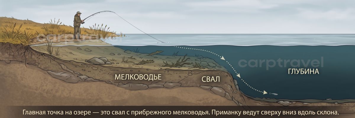 Главная точка на озере — свал от береговой отмели. Приманку ведут сверху вниз по склону