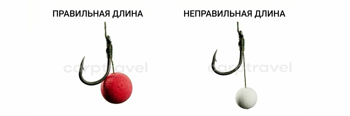 Длина волоса: главный параметр, от которого зависит реализация поклёвки Длина волоса: главный параметр, от которого зависит реализация поклёвки