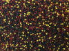 DSC06126 — копия (3)