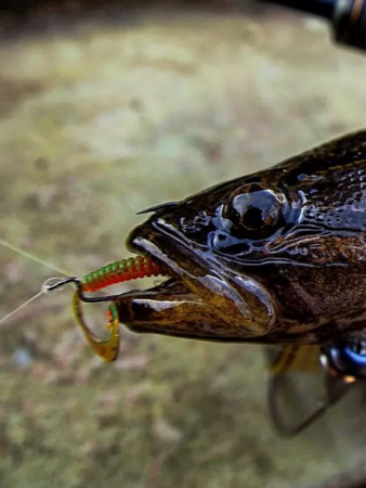 Крючок офсетный  Рыболовная империя Fish_Emp OFFSET Size 4 Никель 5шт