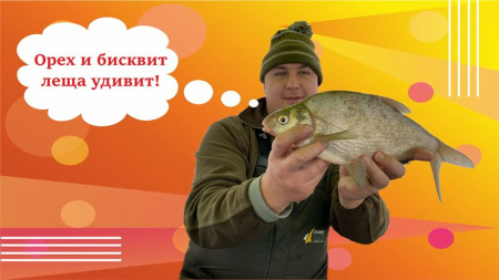 1-1 — копия