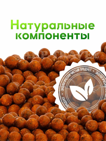 Бойлы тонущие GBS Baits Прикормочные Wild Plum 20мм 1 кг (Дикая Слива) 3