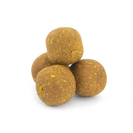 3705_3